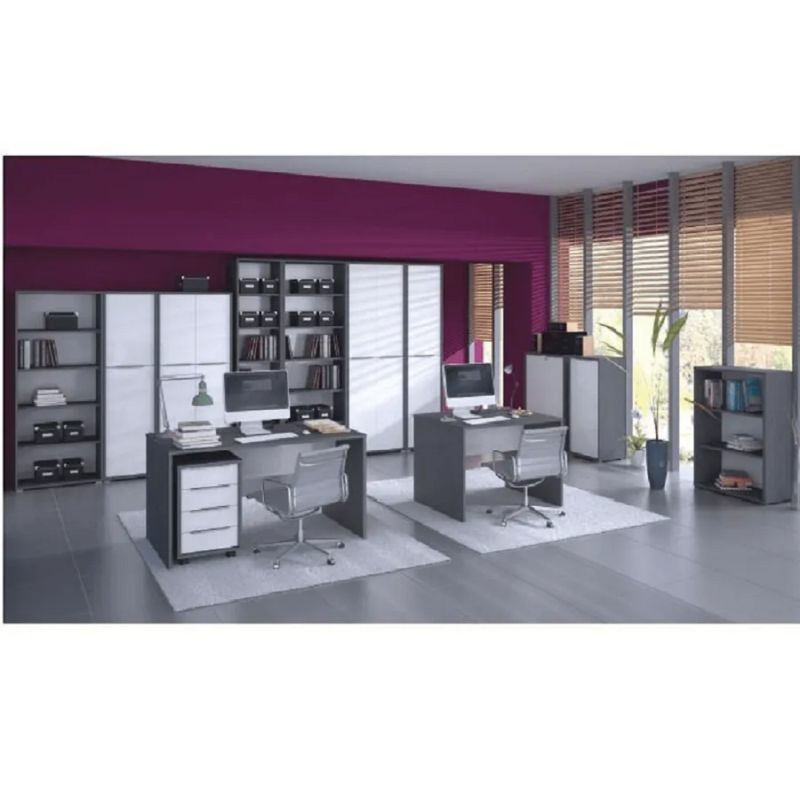 Skriňa, 75cm, policová, grafit, biela, RIOMA NEW TYP 05