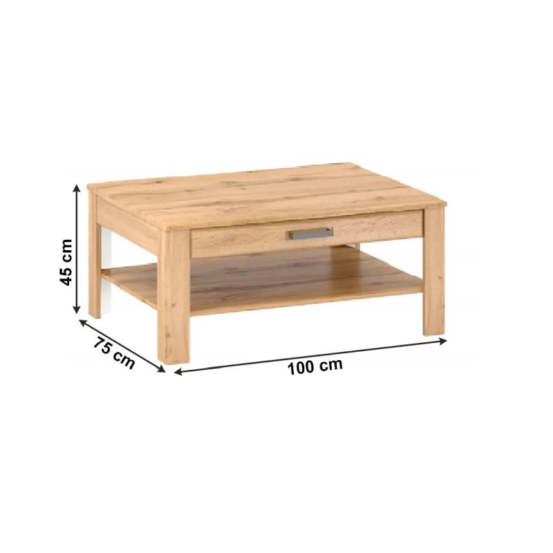 Konferenčný stolík, 100x75cm, dub apalačský, PUSAN T