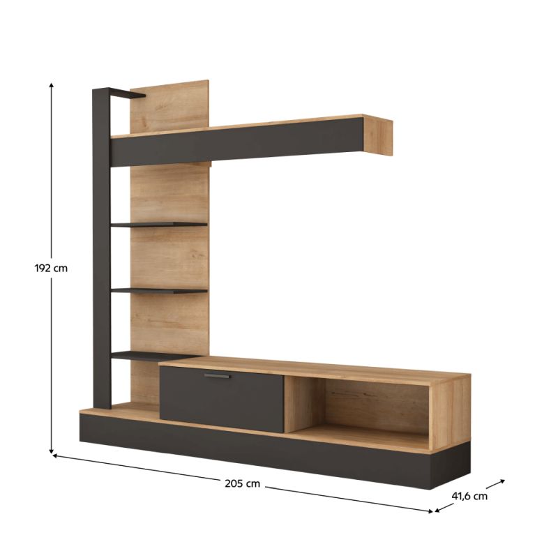 Obývacia stena, 205cm, dub riviera, čierna, GELUZA