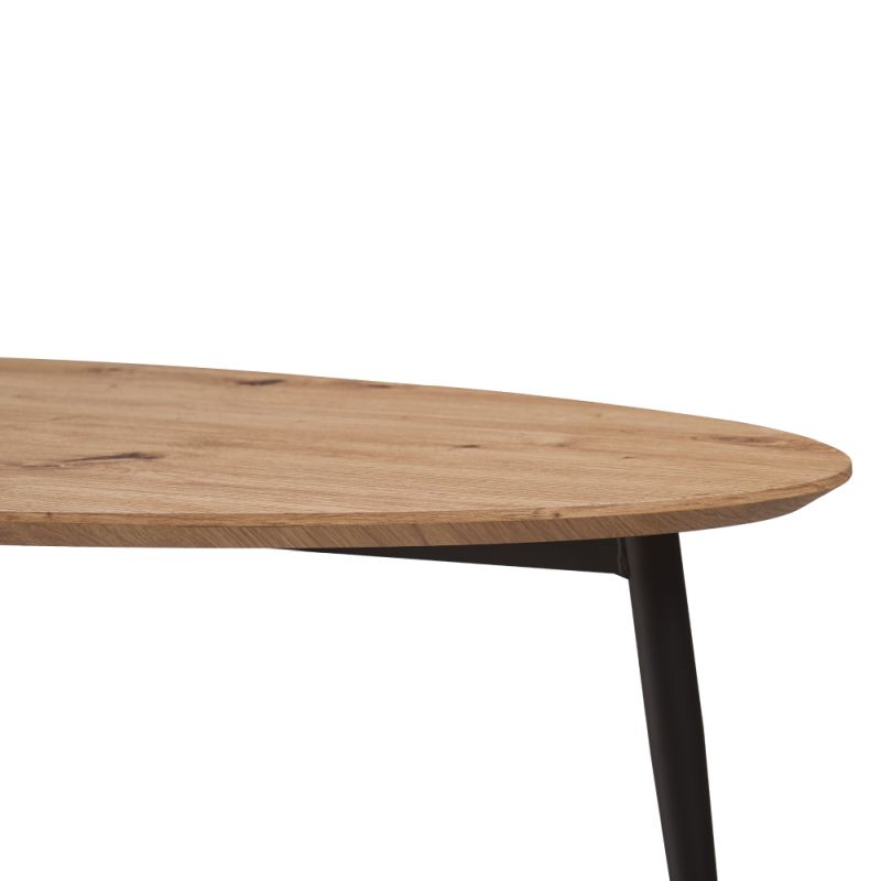 Konferenčný stolík, 120x50cm, dub artisan, čierny, SANAM