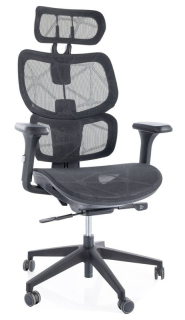 Ergonomická stolička, čierna sieťovina, DEVON BLACK